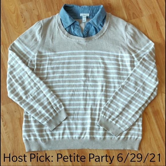 croft & barrow Sweaters - 🎉HP🎉 EUC Super cute petite faux layered sweater